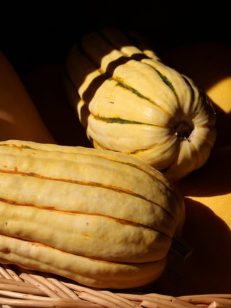 Deux courges delicata posées dans un panier d'osier, en pleine lumière.